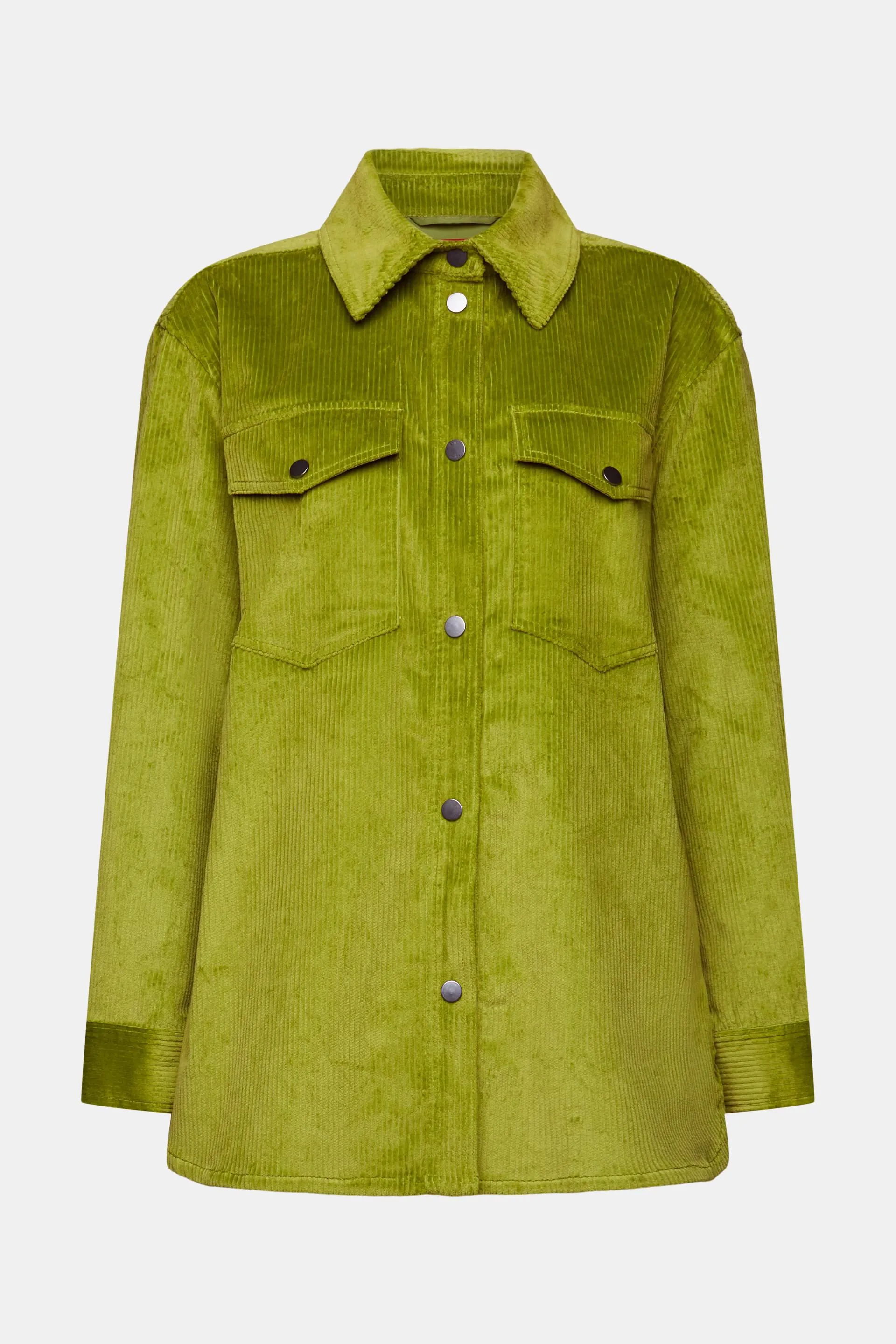 Camicia button-down in velluto