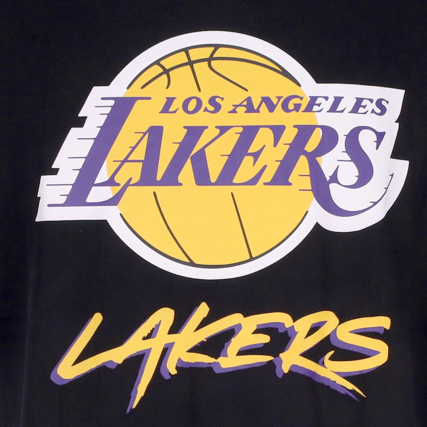 Maglietta Uomo Nba Script Mesh Tee Loslak True Purple