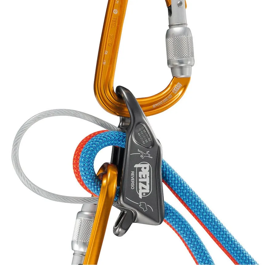 Petzl Reverso assicuratore discensore secchiello