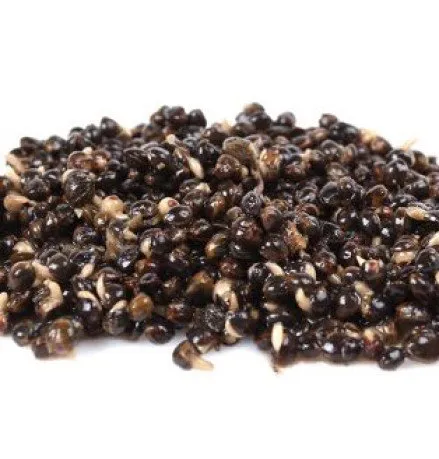 Secchiello Granaglie Canapa 4 kg