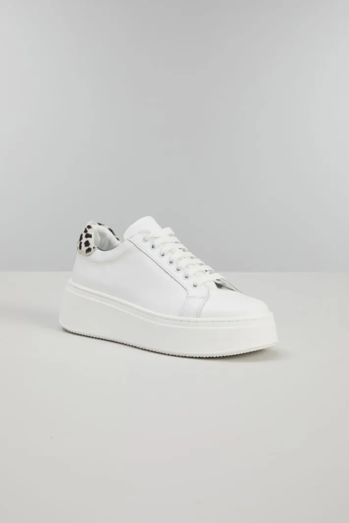 Sneakers platform