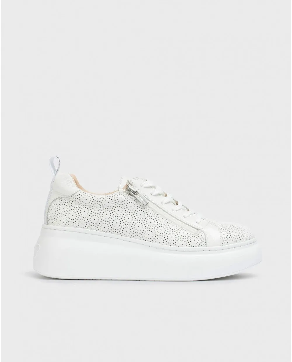 WONDERS Sneaker Bassa Donna A-2633  